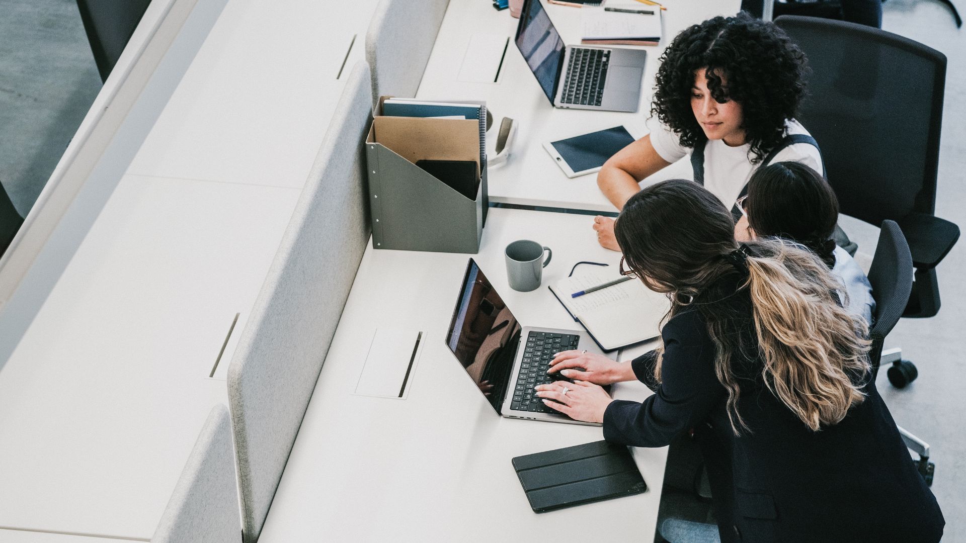 Cool Corporate Women Working in an Office Cool Corporate Women Working in an Office